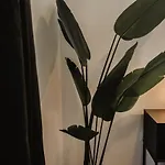 Boutique Hotel *